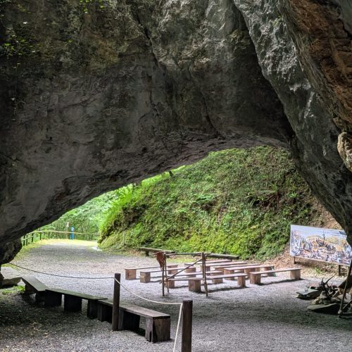 PXL_20250703_145502013.MP